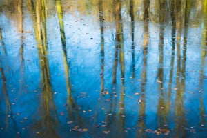 Visitors at the Water gardens of Erddig in Winter