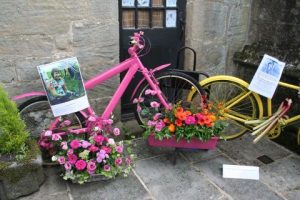 Bewerley_Flowers1