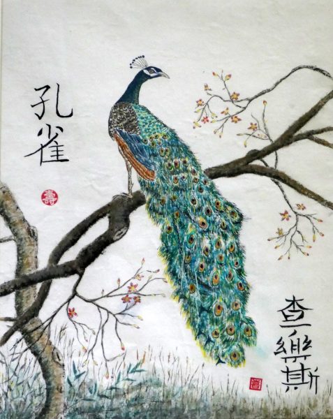 Feature_Peacock - Chinese Brush - Charles Mellor