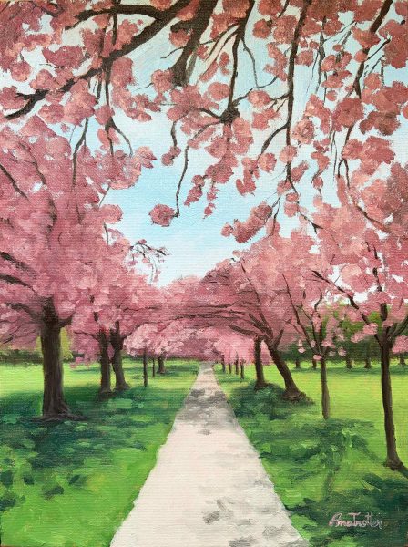 Harrogate Cherry Blossoms - oil on canvas - Feature Image