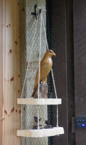 Bird carving from local wood by Peter Brambleby