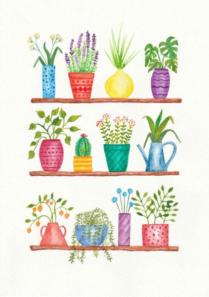 Shelf Life - Featured - Jo Gee
