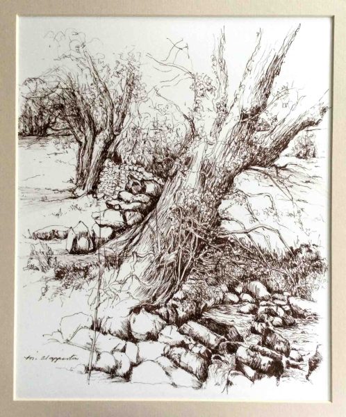Trees and rocks – pen – Margaret Clapperton Trees and rocks - pen - Margaret Clapperton